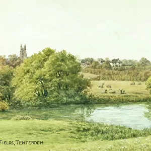 Six Fields, Tenterden, Kent
