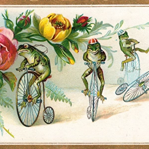 Four frogs on bicycles with flowers on a greetings card