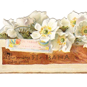 Greetings card in the shape of a cigar box