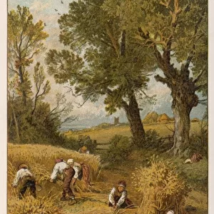 Harvesting by Hand
