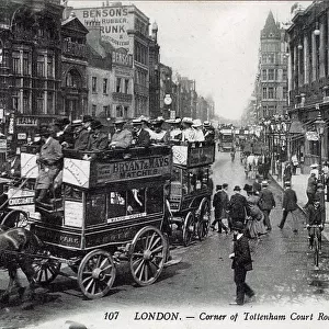 Horse drawn omnibuses Tottenham Court Road
