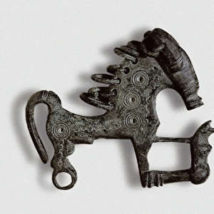 Horse fibula