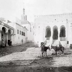 Horses and donkeys Tangier, Morocco, c. 1890 s