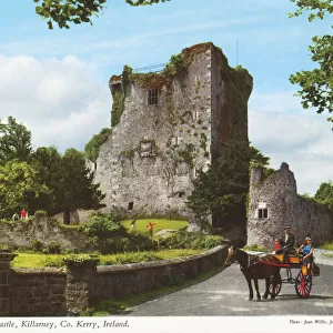 Jaunting Car at Ross Castle, Killarney, County Kerry