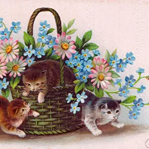 Kittens with a basket of flowers on a postcard