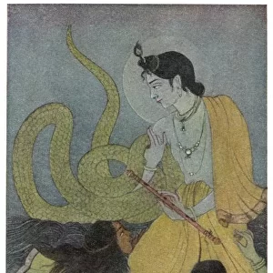 Krishna & Kaliya