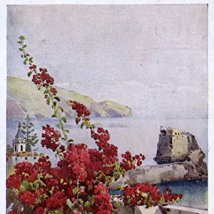 Loo Rock, Funchal, Madeira, with red flowers