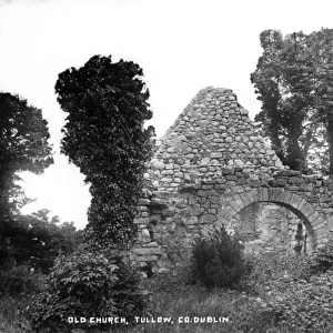 Old Church, Tullow, Co. Dublin