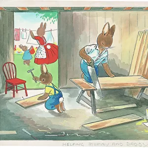 Rabbits in the workshed