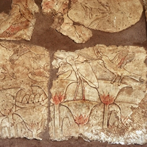 Reliefs depicting the flora and fauna along the Nile River
