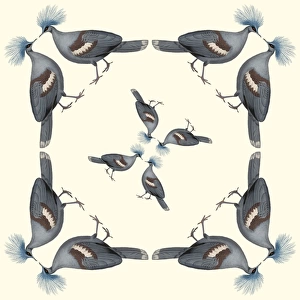 Repeating Pattern - Pigeons