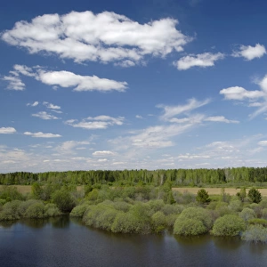 River Tura in North Ural Mountains - a typical