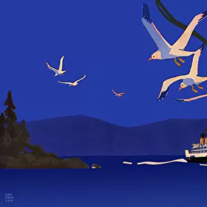Seagulls Following Ship Date: 1917
