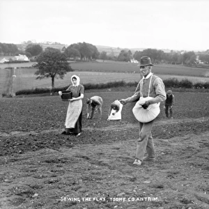 Sowing the Flax, Toome, Co. Antrim