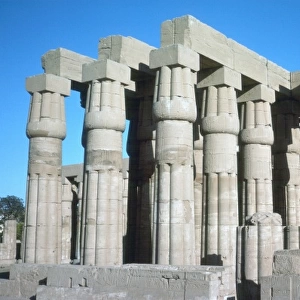 Temple of Luxor / Columns