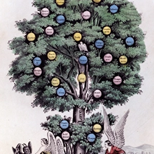The Tree of Life. The Christian