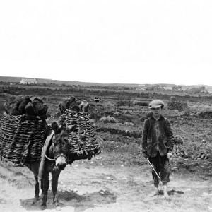 A view of a boy beside a donkey and hinged creels with turf