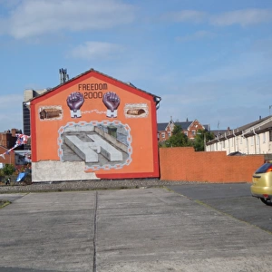 Wall mural of Freedom 2000 at Belfast