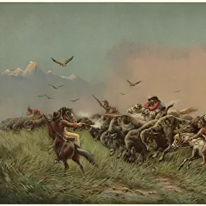 White hunters and native Americans exterminate the buffalo herds Date: 19th century