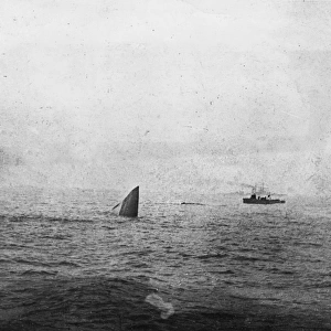 Wreck of HMS Invincible, Battle of Jutland, WW1