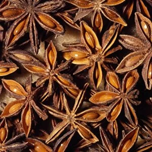 Star Anise - whole seed pod, dried. Herb/spice. Native to: South Western China