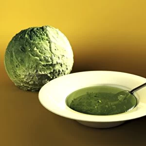 Cabbage and soup, computer artwork