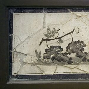 Cockerel and grapes, Roman fresco