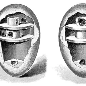 Egg-balancing toy design, 1893 C013 / 9112