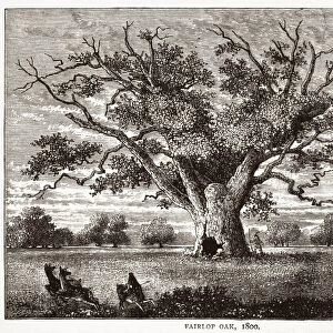 The Fairlop Oak, Hainault Forest, 1800 C015 / 6067
