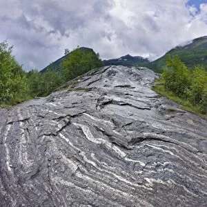 Folded gneiss
