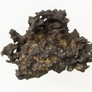 Iron meteorite C016 / 5871