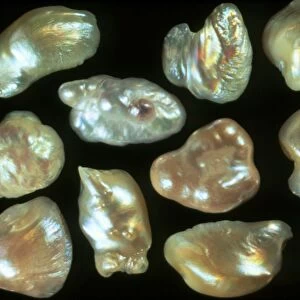 Natural freshwater pearls