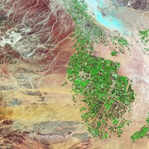 Saudi Arabia agriculture, 2012