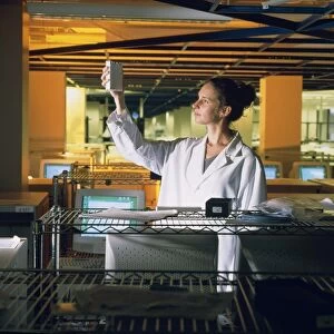 Technician with DNA sequencers at Celera Genomics