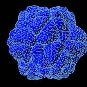 Tobacco necrosis virus, molecular model