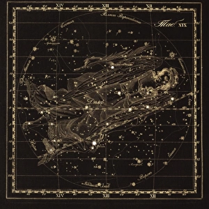 Virgo constellation, 1829 C016 / 4405