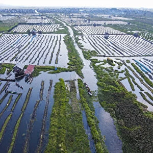 Aerial by drone of the floating gardens, Inle Lake, Shan state, Myanmar (Burma), Asia