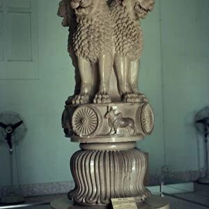 Ashoka Lion