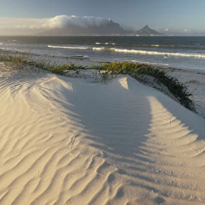 Blouberg Beach, Cape Town, Western Cape, South Africa, Africa