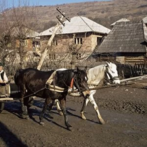 Botiba village, Maramuresh region, Romania, Europe