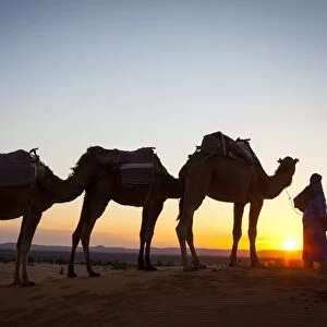 Camel driver, Sahara Desert, Merzouga, Morocco, North Africa, Africa