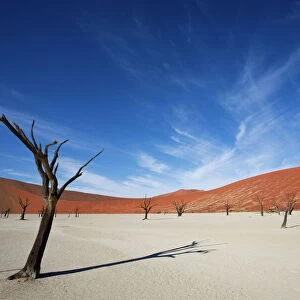 Namibia Related Images