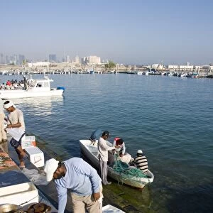 Fish market, Doha harbour, Doha, Qatar, Middle East