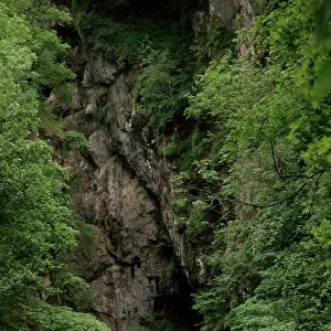 Gorges of the River Cere, Cantal mountains, Auvergne, France, Europe