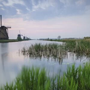 Green grass frames the windmills reflected in the canal at dawn, Kinderdijk, Rotterdam