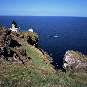 Lighthouse and sea-bird cliffs, St