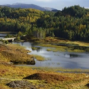Loch Dubhaird Mor and Duartmore Forest, Highlands, Scotland, United Kingdom, Europe