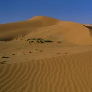 Panoramic view over dunes