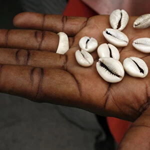 Shells used by fortune tellers, Brazzaville, Congo, Africa