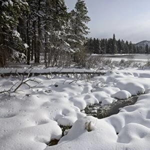 Snowy mounds on the shore of Sprague Lake
